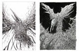 (C) Jonathan La Mantia - Flightless Lament I & II (S&N AP Edition) - 11"x17" - print set