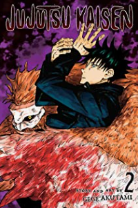 Gege Akutami - Jujutsu Kaisen v2 - SC